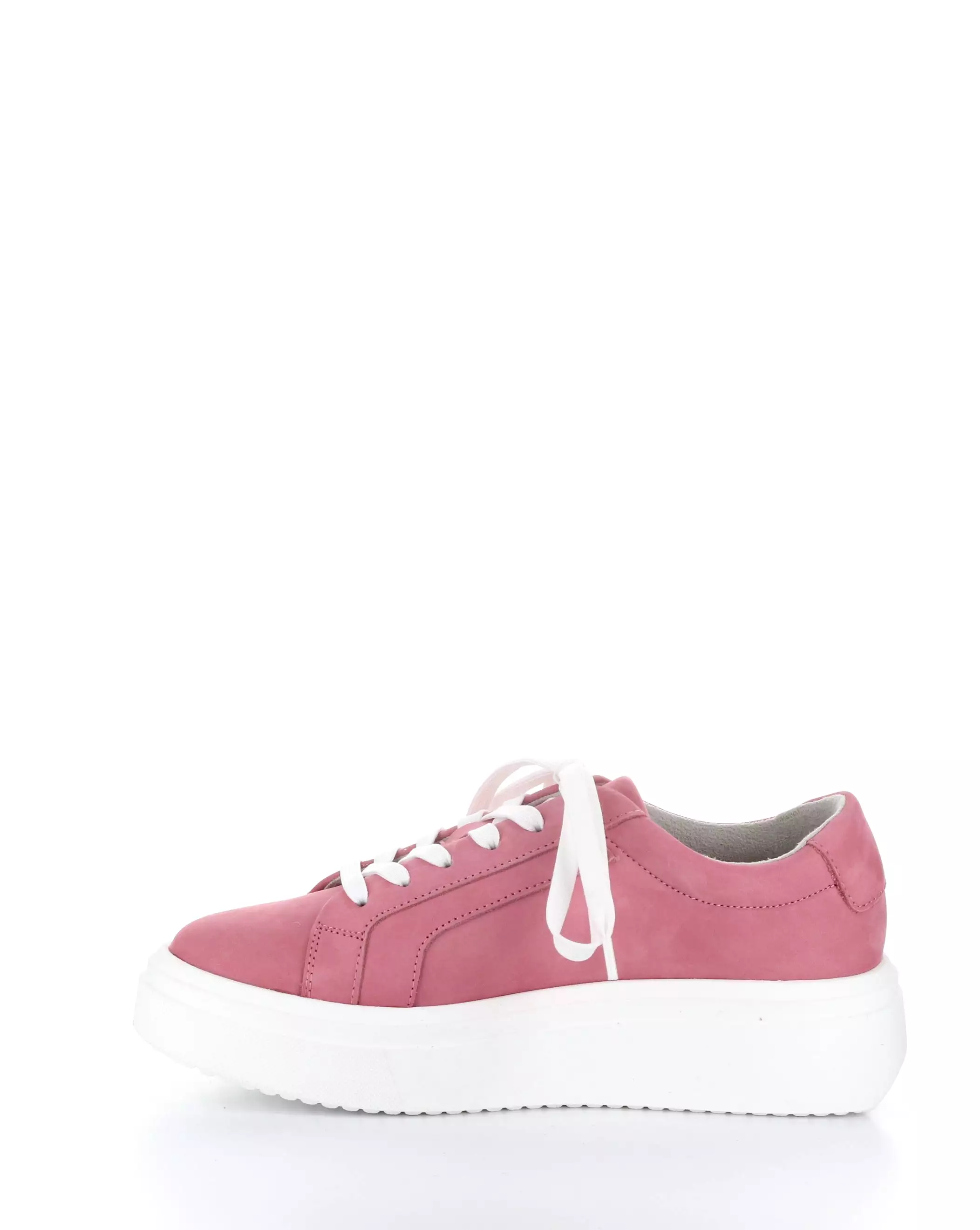 Flavia Lace-up Shoes in Rosey