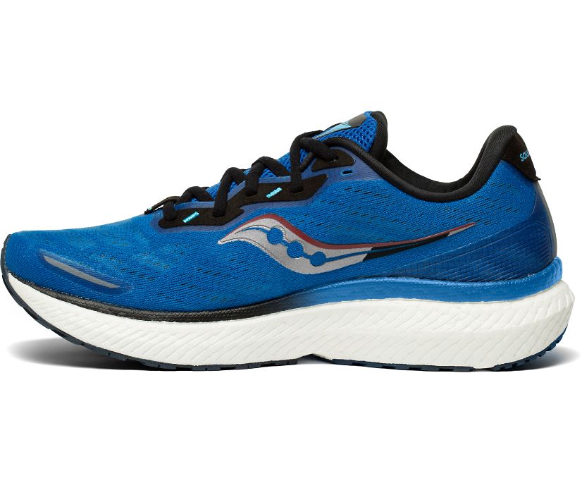 Saucony Triumph 19 Royal/Space Running Shoes